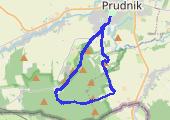 CardioTrainer_nordic z aparatem i geotagingiem - mapa trasy gps - nordic walking