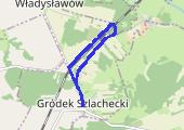 Trasa z dnia 2014-11-11 12:16 - mapa trasy gps - spacer