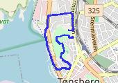 20140831_161838 - mapa trasy gps - marsz