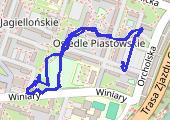 Trasa z dnia 2015-01-01 21:09 - mapa trasy gps - spacer