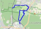 Trasa z dnia 2015-01-01 11:33 - mapa trasy gps - rower trekkingowy