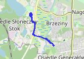 Trasa z dnia 2015-01-06 13:54 - mapa trasy gps - bieganie