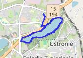 Trasa z dnia 2015-01-07 10:04 - mapa trasy gps - bieganie