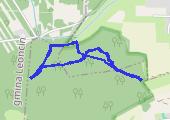 Trasa z dnia 2015-01-17 13:22 - mapa trasy gps - marsz