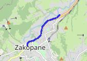 Trasa z dnia 2015-01-19 10:05 - mapa trasy gps - marsz