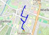 Trasa z dnia 2015-01-25 10:59 - mapa trasy gps - spacer