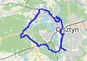Trasa z dnia 2015-01-31 12:16 - mapa trasy gps - rower górski