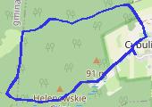 Trasa z dnia 2015-02-06 14:32 - mapa trasy gps - marsz