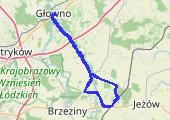 Rogów - mapa trasy gps - rower górski