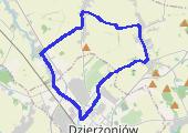 Trasa z dnia 2013-01-05 18:22 - mapa trasy gps - marsz