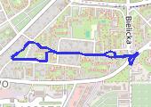 Trasa z dnia 2013-01-05 23:10 - mapa trasy gps - marsz