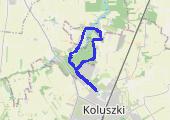 Trasa z dnia 2015-03-01 15:43 - mapa trasy gps - spacer