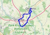 Stryków i okolice - mapa trasy gps - rower górski