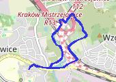 Trasa z dnia 2015-02-21 16:43 - mapa trasy gps - spacer