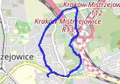 Trasa z dnia 2015-02-20 17:07 - mapa trasy gps - spacer