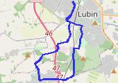 Trasa z dnia 2015-03-06 19:04 - mapa trasy gps - bieganie