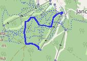 Trasa z dnia 2015-03-03 14:56 - mapa trasy gps - narty
