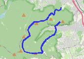 Trasa z dnia 2015-03-08 11:49 - mapa trasy gps - marsz