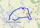Trasa z dnia 2013-01-12 18:17 - mapa trasy gps - marsz