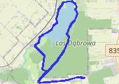 Trasa z dnia 2015-03-10 14:06 - mapa trasy gps - rower górski