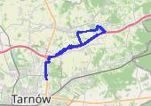 Żukowice autostradą i troszkę lasem za żółtym szlakiem (z Maciukiem) - mapa trasy gps - rower trekkingowy