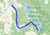 Trasa z dnia 2015-03-15 09:17 - mapa trasy gps - bieganie