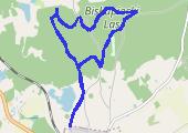 Trasa z dnia 2013-01-20 11:58 - mapa trasy gps - narty biegowe