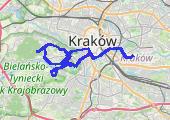 w lesie ... - mapa trasy gps - rower górski