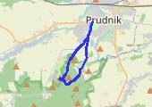 Po Lesie Prudnickim w zimowy dzień - mapa trasy gps - marsz