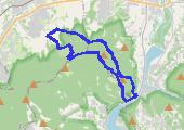Trasa z dnia 2015-03-29 16:17 - mapa trasy gps - marsz