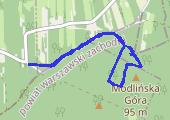Trasa z dnia 2015-01-06 13:14 - mapa trasy gps - marsz