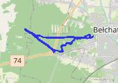 Trasa z dnia 2013-01-27 16:29 - mapa trasy gps - marsz