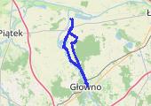 Dwa Pałace - mapa trasy gps - rower górski
