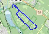 Trasa z dnia 2015-04-12 12:15 - mapa trasy gps - bieganie
