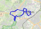 Trasa z dnia 2015-04-19 21:06 - mapa trasy gps - marsz