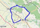 Brzeg-Oława-Brzeg - mapa trasy gps - rower szosowy