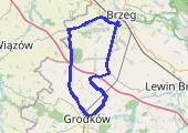 Brzeg-Grodków-Brzeg - mapa trasy gps - rower szosowy