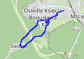 Bieżnia i po lesie - mapa trasy gps - bieganie