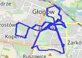 Trasa z dnia 2015-04-25 21:30 - mapa trasy gps - rower szosowy