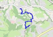 Trasa z dnia 2015-04-28 13:17 - mapa trasy gps - marsz