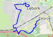 Spacerek 2013-02-13 10:09 - mapa trasy gps - marsz