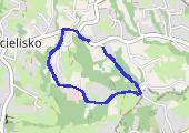 Trasa z dnia 2015-05-02 07:58 - mapa trasy gps - marsz