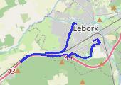 Marszobieg 2013-02-01 11:14 - mapa trasy gps - marsz