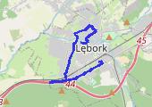 Spacerek 2013-01-28 09:03 - mapa trasy gps - marsz