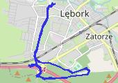 Marszobieg 2013-02-16 08:50 - mapa trasy gps - marsz