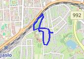 Trasa z dnia 2013-02-17 19:05 - mapa trasy gps - marsz