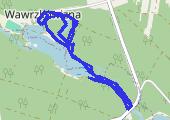 Trasa z dnia 2013-02-18 13:08 - mapa trasy gps - marsz