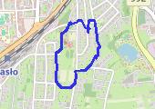 Trasa z dnia 2013-02-18 19:23 - mapa trasy gps - marsz
