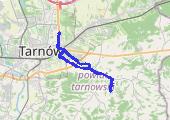 Zapora Skrzyszów (z Maciukiem) - mapa trasy gps - rower trekkingowy