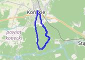 Trasa z dnia 2015-05-10 04:00 - mapa trasy gps - marsz